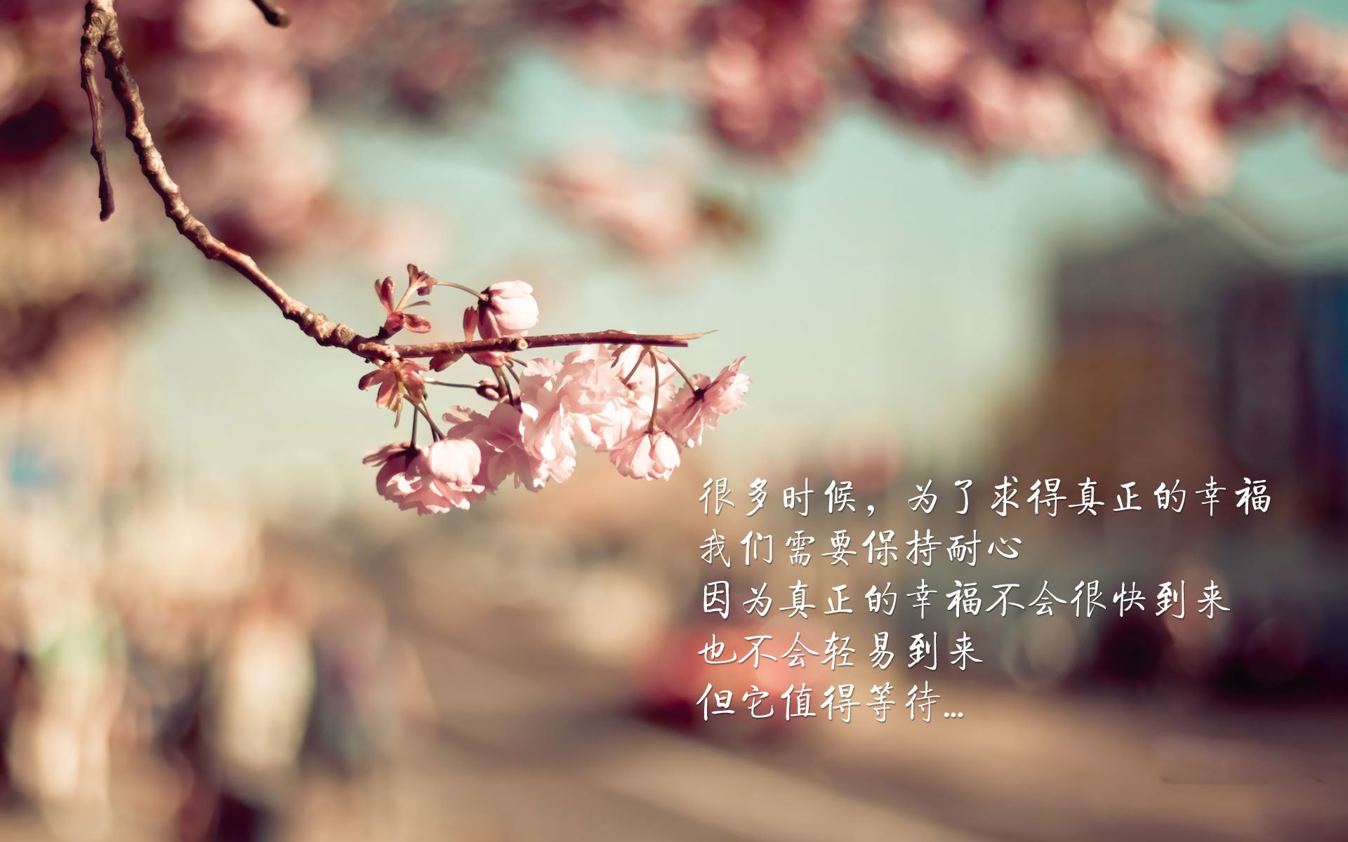 当前钢材价格行情走势(钢材最近价格走势分析)